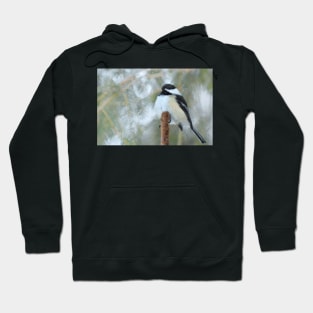 Bird watching... Hoodie